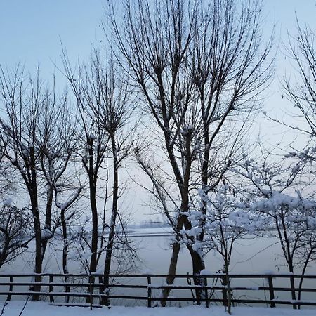 Motel Blue River Călimăneşti Eksteriør bilde