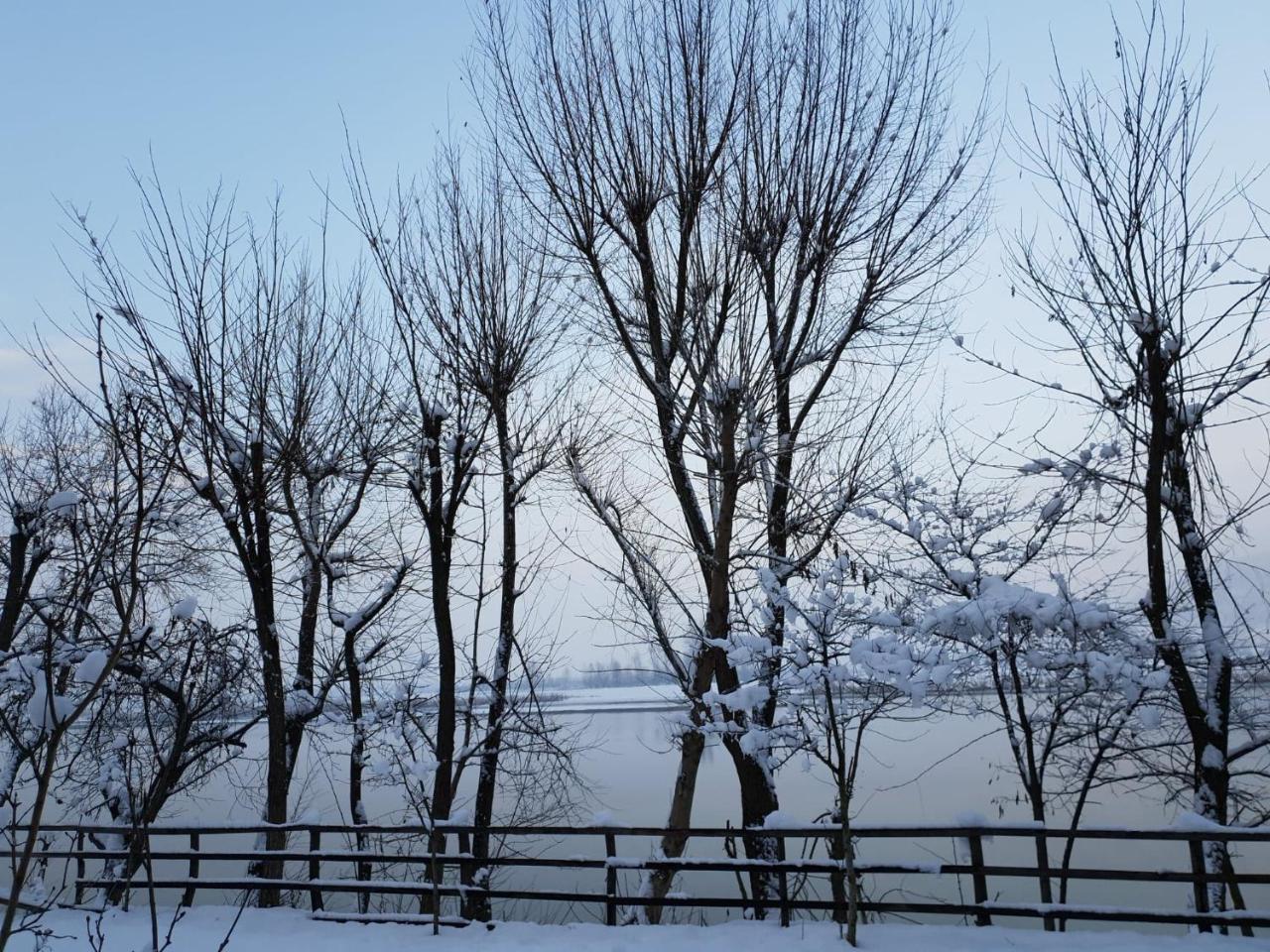 Motel Blue River Călimăneşti Eksteriør bilde